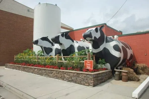 A large cow sculpture outside Ashe County Cheese
