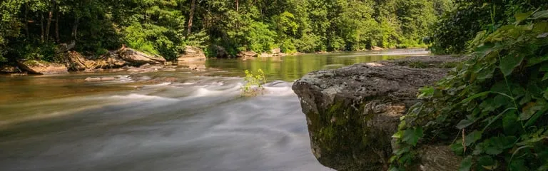 The New River flowing between green forested banks