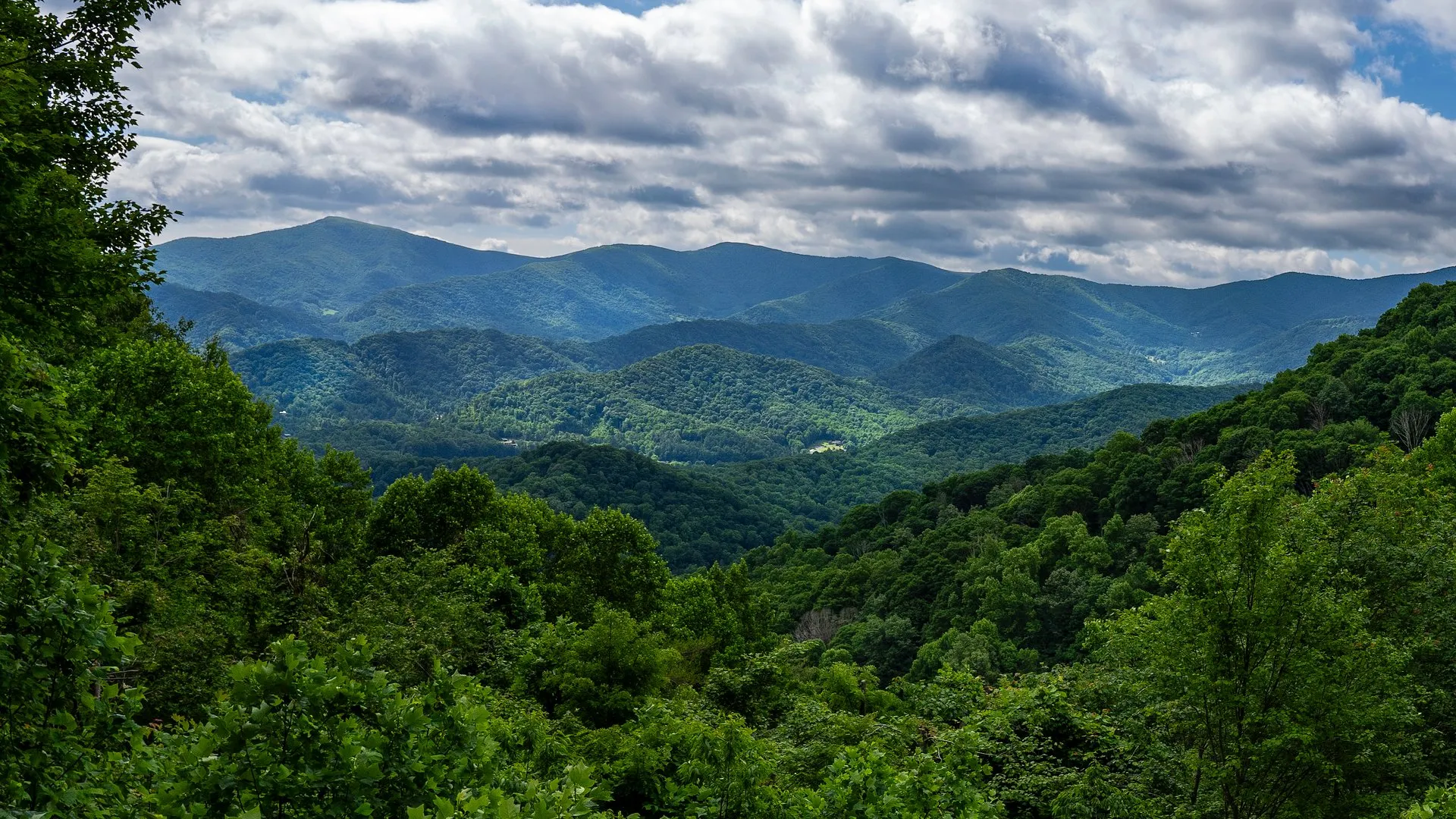 Layered Blue Ridge Mountain peaks and green forest in northwestern North Carolina