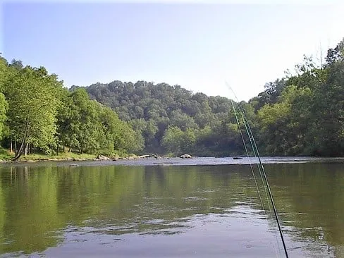Quiet stretch of the New River bordered by green trees